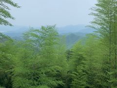 -莫干山风景区