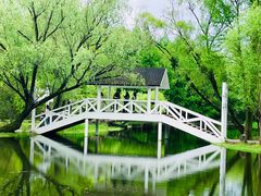 -上海共青森林公园