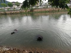 -杭州双溪漂流景区
