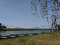 -西青郊野公园