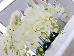 -MIVI半永久纹眉纹绣