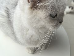 -怪兽屋·羊驼·猫咖·狗咖(俊华广场店)