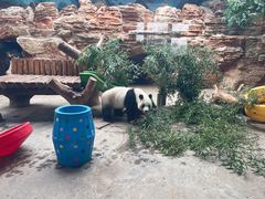 -石家庄市动物园