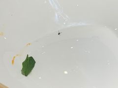 -海底捞火锅(方圆荟店)