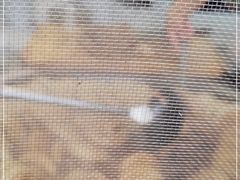 -陈记卤煮小肠