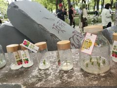 -上海鲜花港
