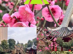 -上海虹桥宾馆味翠餐厅