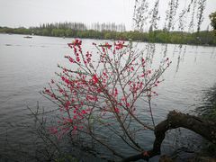 -浙江西子宾馆·瑶园咖啡厅