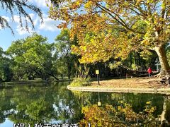 -上海共青森林公园