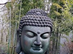 -杭州植物园
