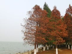 -苏州东太湖生态园
