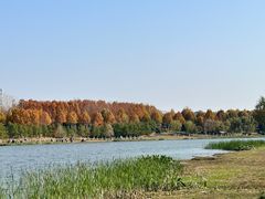 -滨湖塘西河公园