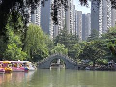 -西苑公园