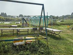 -紫颐香薰山谷景区