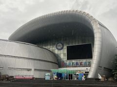 -烟台海昌鲸鲨海洋公园