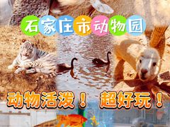 -石家庄市动物园