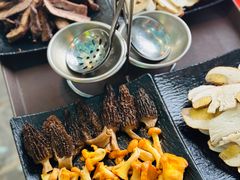 -蘑统田下·野生菌火锅