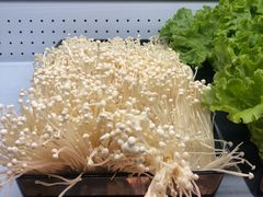 -阿上阿上麻辣香锅&麻辣烫(朝阳蓝色港湾店)