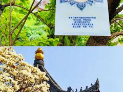 -西安市广仁寺