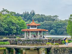 -深圳仙湖植物园