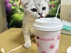 -美联众合动物医院·24h转诊中心