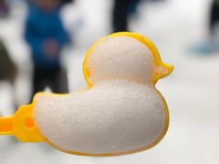 -Mr·Kuma酷么先生雪之乐园