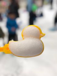 -Mr·Kuma酷么先生雪之乐园
