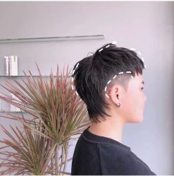 点击看大图 -IP SALON
