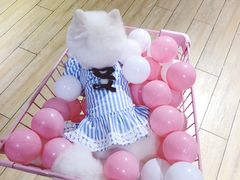 -Double Rui宠物酒店