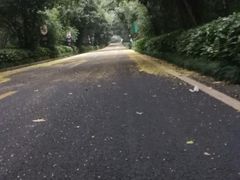 -南京东郊国宾馆
