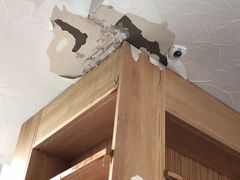 -简屋书店
