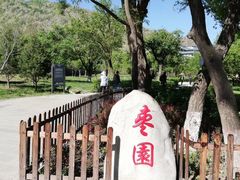 -延安杨家岭革命旧址