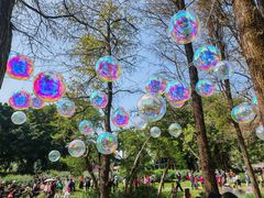 -人民公园(罗湖区)