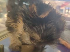 -乐宠宠物店(世纪金源店)