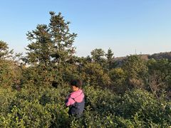 -虞山风景区