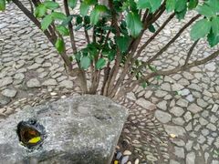-汇龙潭