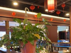 -京城胜利涮羊肉(禧乐汇店)