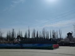 -永定河休闲森林公园