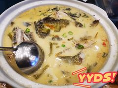 黄焖鲟龙鱼-饭怕鱼(阳光100店)