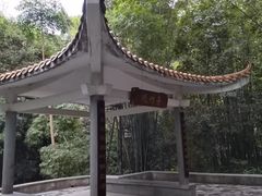 -大屏嶂森林公园