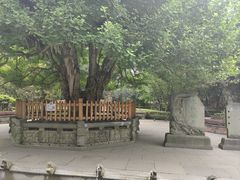 -磁器口古镇
