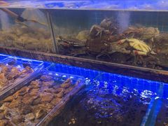 -渔家风味·鲅鱼水饺·央视展播·海鲜天津菜(开发区店)