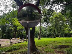 -广州市白云山风景名胜区