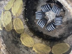 -中国农业博物馆