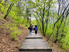 -帽儿山国家森林公园