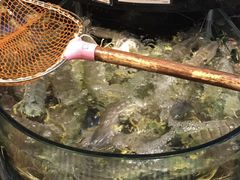 -陶陶居海鲜酒家(新马路店)