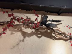 -随缘小馆(红岭路店)