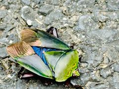 -东天目山风景区