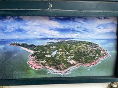 -广东惠东海龟国家级自然保护区