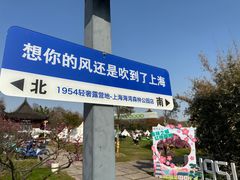 -上海海湾国家森林公园